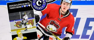 Clemensnäs HC hintar om transferbomb – Norran avslöjar namnet • SHL-meriterad 21-åring klar för seriefavoriten