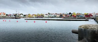 Runda bryggor och solsoffa – första förslaget på nya Öregrunds hamn