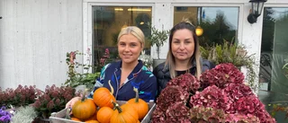 De har koll på höstens växttrender: "Hortensiorna efterlängtade"