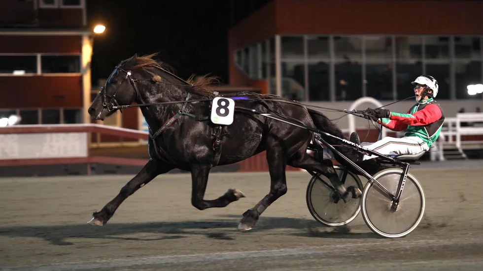 Gustav Andersson och Guli Storm tog en överlägsen seger i V64–2 på Skellefteåtravet.