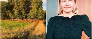 Kommunen kan ha sålt mark för billigt – "oproffsigt"