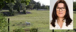 Kvarka – hästsjukdomen få vill tala om: "Kan leda till misstro om skötsel och hygien"