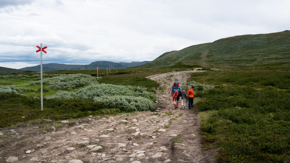 Kan hemestern fortsätta vara populär trots att de fysiska hindrena försvinner vore det bra både för klimatet och turistorter i Sverige.