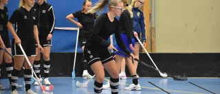 Här är VIBK:s första nyförvärv
