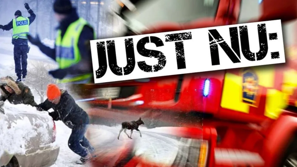 Flera fall av rattfylleri och en allvarlig skoterolycka, det är lite av vad polisen rapporterar om i dag.