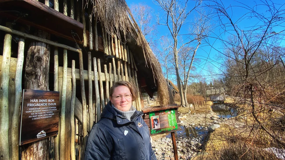 "Det har varit mer hat än rena hot", säger Furuviksparkens vd Sandra Wilke.