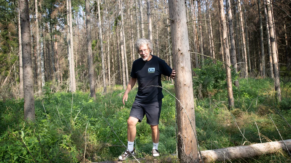 Ett annat namnförslag är Spökbackens naturreservat. "Enligt en skröna spökar det här efter att en ung man hängt sig på grund av olycklig kärlek. Den han var olyckligt kär i ska ha varit den första att se honom", berättar Claes Carneck.