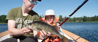 Sommartipset: Ta med barnen på fisketuren efter storabborren
