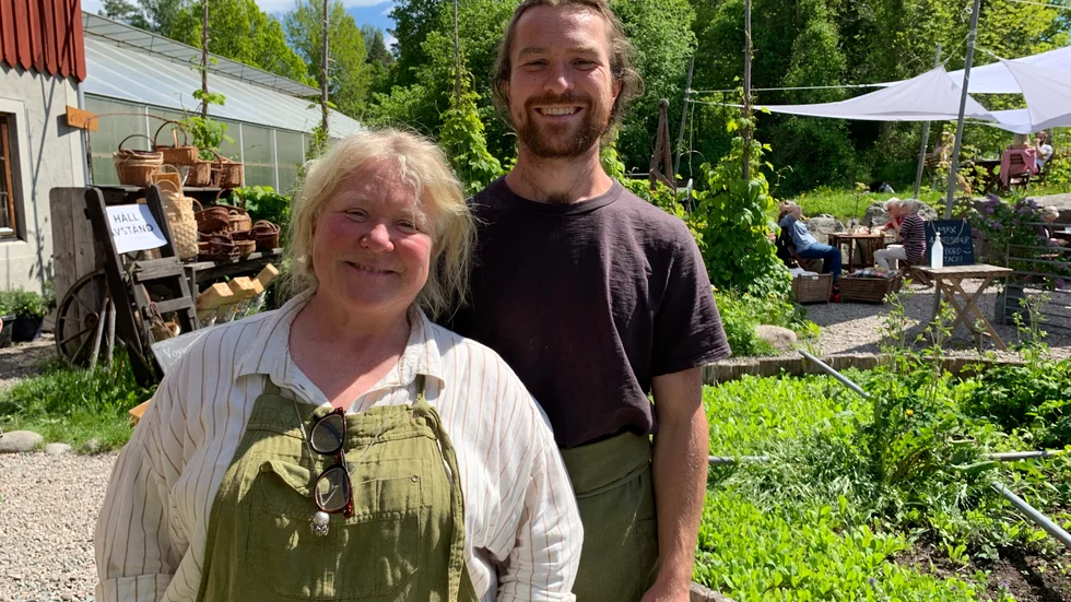 Ändebols gård Grusvägen slingrar sig fram mellan hagarna. Väl framme klättrar humlen på stör framför gårdsbutiken. För den som är hungrig finns café och kök. Det är ett kretsloppsjordbruk där inget går till spillo. Respekten för omgivningens förutsättningar och djurens välmående ger råvarorna en tydlig identitet. Öppettider tor-fre 10-18, lör-sön 10-16. andebolsgard.se 