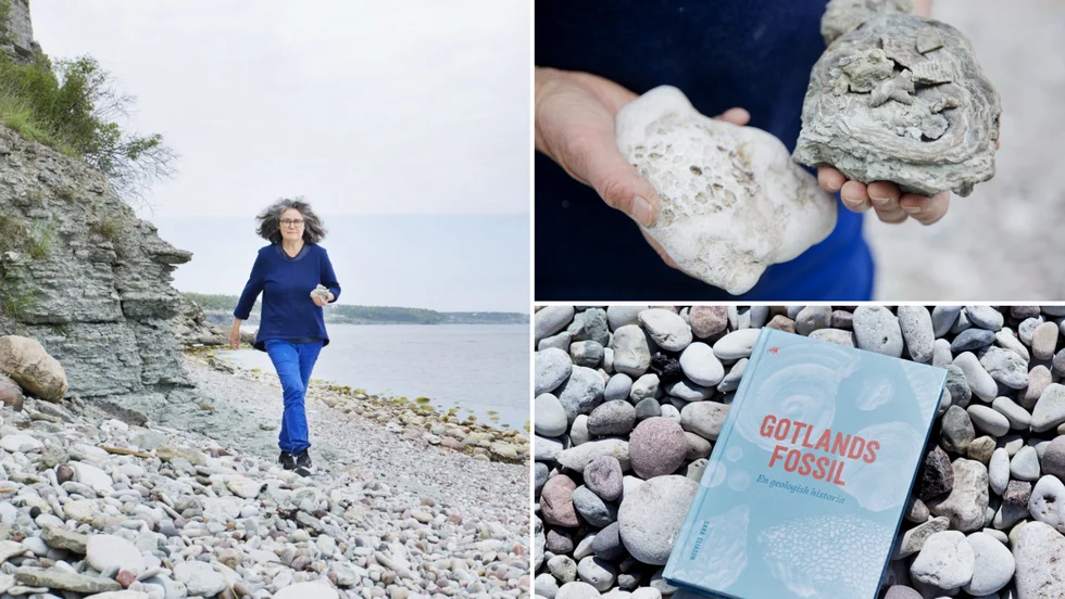 "I och med allemansrätten får man plocka med sig några stenar för eget nöjes skull. Så länge man inte förstör och hackar i berget och är noga med att inte plocka där det är förbjudet", säger författaren och geologen Sara Eliason.
