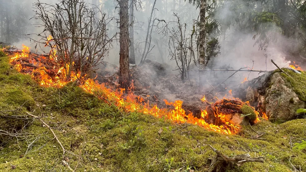 Det brinner i skogen i Åkerby utanför Funbo.