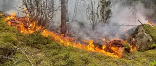 Skogsbrand släckt efter insats