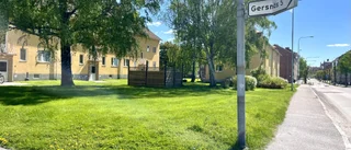 Fler har kontaktat polisen om trädgårdsvandalen