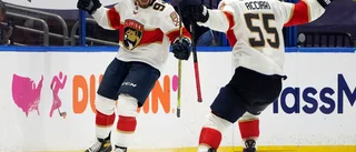 Bergochdalbana för Florida mot Tampa Bay