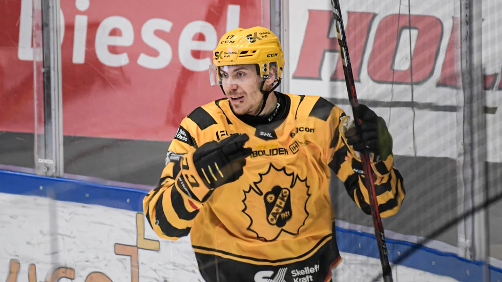 Pär Lindholm jublar under en av Skellefteås kvartsfinalmatcher mot Luleå i april.