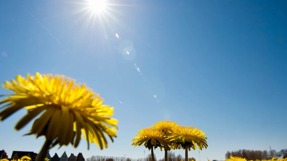 I helgen blir det sol och varmt, efter en till stora delar kall maj. 
