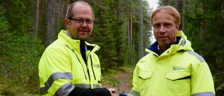 Pite energis nya investering ska minska elavbrotten