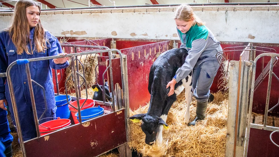 Gotland Grönt Centrum driver Naturbruksprogrammet på Lövsta, där nu antikroppar mot salmonella konstaterats vid provtagning av mjölken från gården. Inga djur är sjuka och än så länge finns inga restriktioner.
