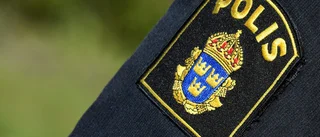 Skojbråk utvecklades till misshandel