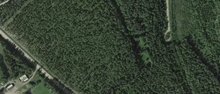 Ny ägare tar över gård i Rosvik