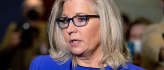 Trumpkritikern Cheney till Kapitoliumpanel