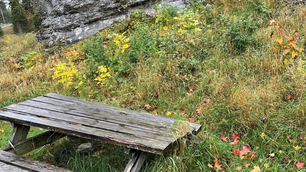 Bortglömd rastplats i Grausne norra raukområde