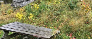 Bortglömd rastplats           