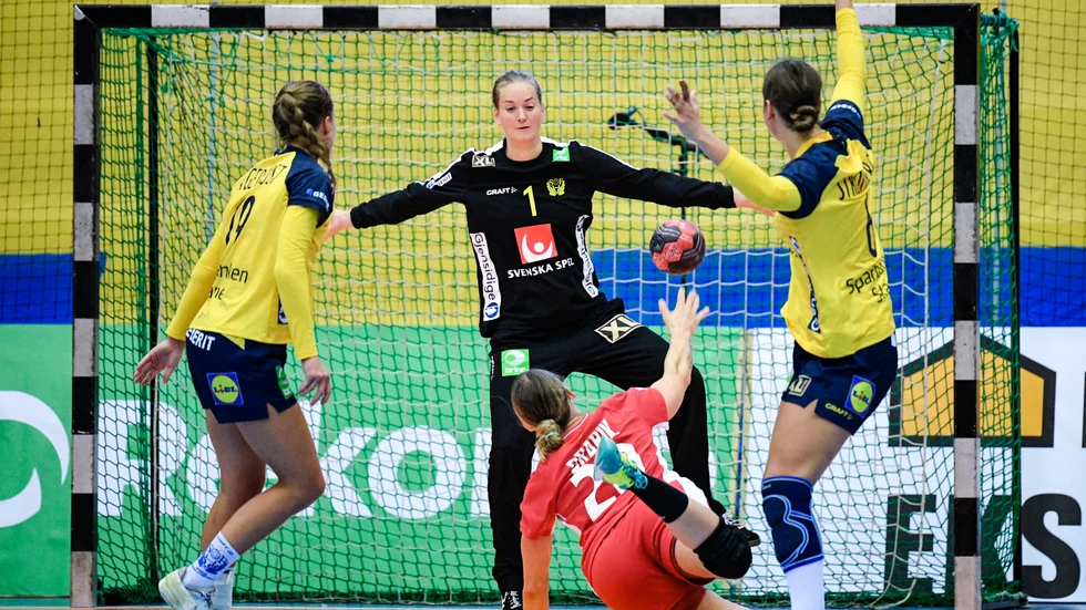 Handbollslandslaget får stanna en extra natt i Kiev. Arkivbild.