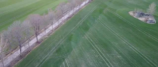Åkermarken behövs för att producera mat