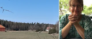 Elle såg vargar på grannens åker: "En glädjechock"