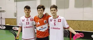 Gamla Stan värvar landslagsmeriterad tysk