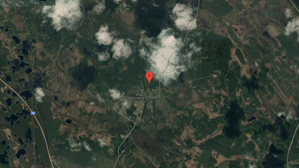 Ny ägare till skog i Glommersträsk