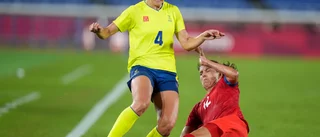 Så var Sveriges VM-kvalmatch mot Irland