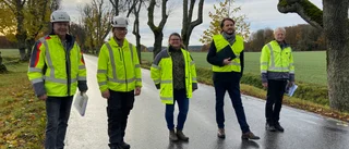 170 träd kommer att fällas vid Tullgarns slott: "De är väldigt gamla"