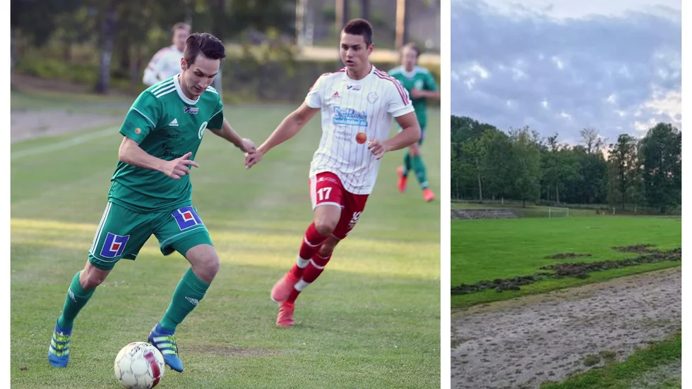 Så här såg det ut när vildsvin för någon månad sedan hade bökat upp fotbollsplanerna vid Bruksliden.
