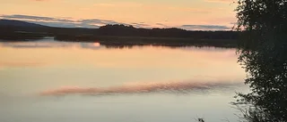 Läsarbilden: En stilla afton   