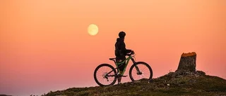 Västerbotten Experience kan vinna Stora Turismpriset: ”Har lyckats ställa om och tänka nytt”