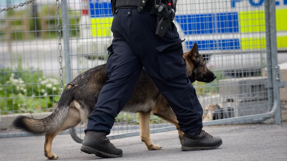 En polishund hittade en misstänkt inbrottstjuv som låg och sov i en buske i Umeå. Nu har mannen dömts till två månaders fängelse. Arkivbild.