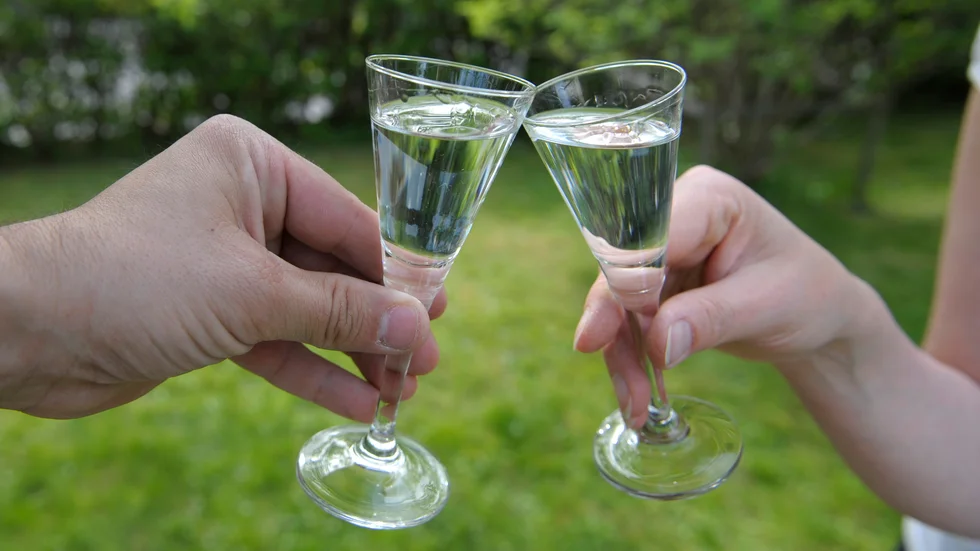 Vodka och akvavit ska varken behöva innehålla svenskt vatten eller vara utspädd i Sverige för att få kallas svensk, enligt Kammarrätten. Arkivbild.