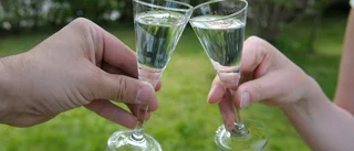 Utländskt vatten får användas i svensk vodka