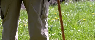 90-åring åtalas för smitning  