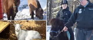 "Till Skogsgläntan ska alla kunna komma" 