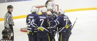 Storpublik såg Gnesta IK bli klart för division 3