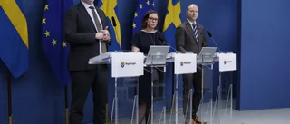 Sverige borde välkomna fler arbetskraftsinvandrare