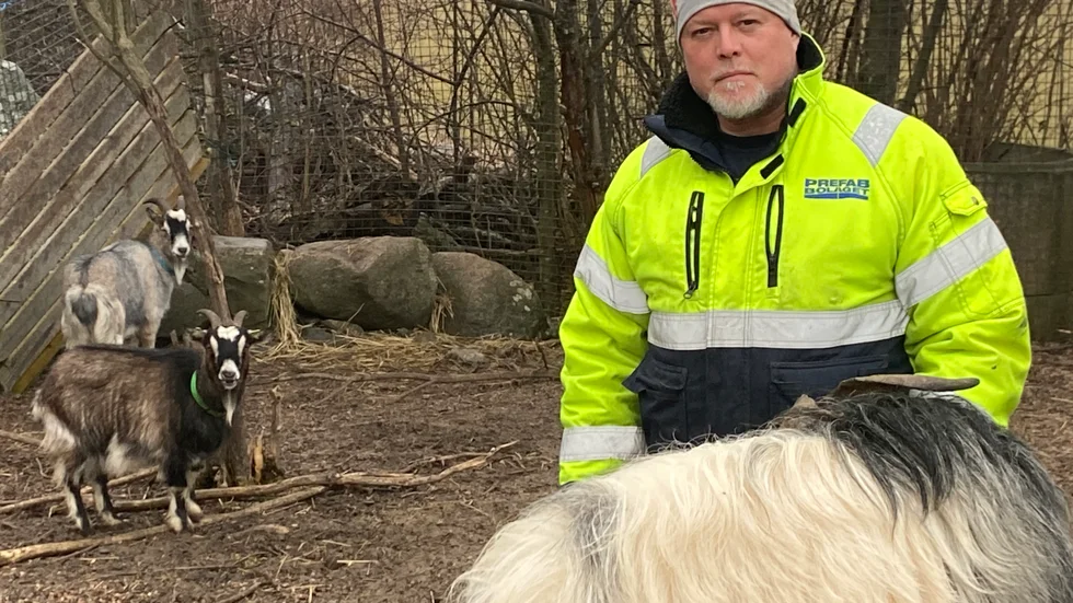 Fredrik Lagerqvist har fått hem Lea (grönt halsband) igen efter två veckor på rymmen.
