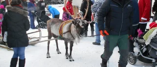 Julmarknad i Töre