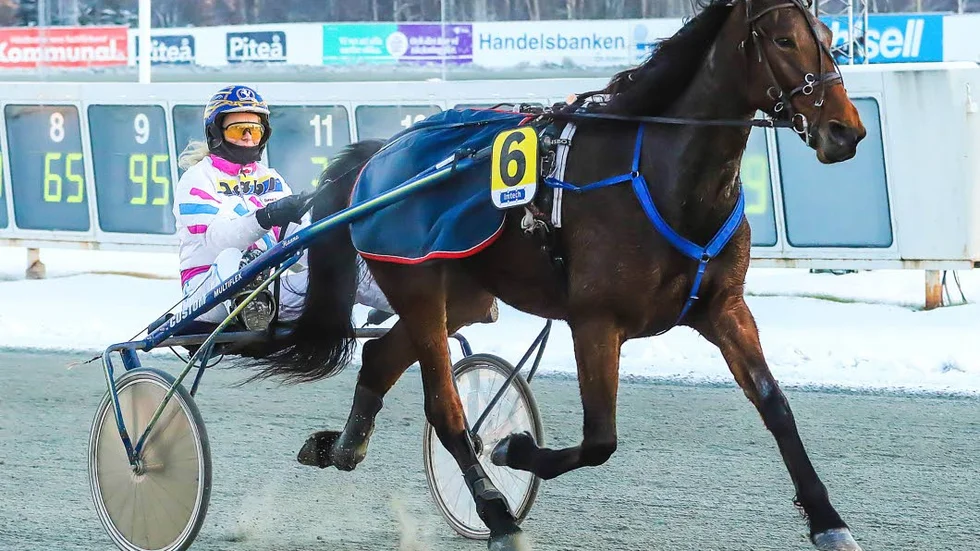 Bekvämt. Shakira Degle Dei och Gunnel Fredriksson segerdefilerar efter sin seger i V4-1.