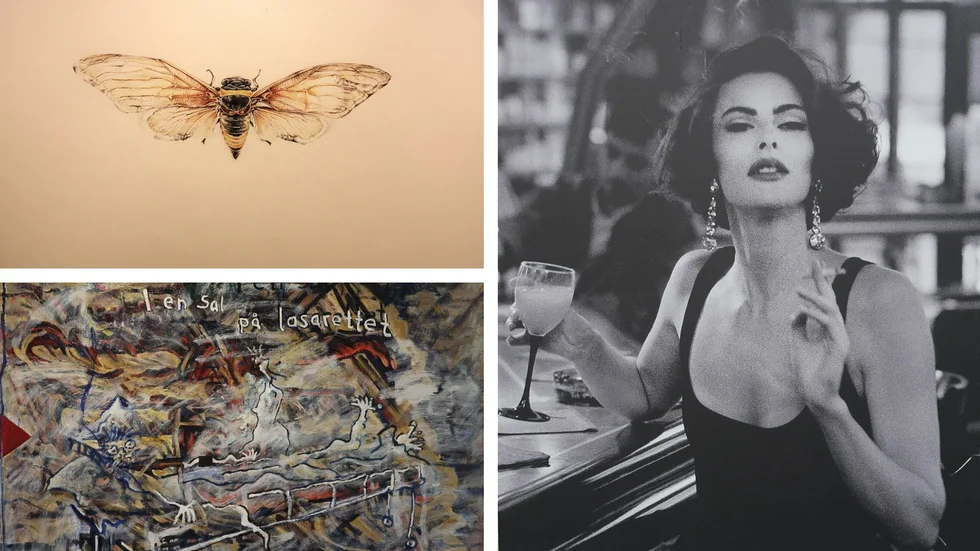 1. Sanna Joelssons närstudie av en cikada. 2. Ewa-Mari Johanssons "Homage to Sophia Loren". 3. Dag Källmans "I en sal på lasarettet". 
