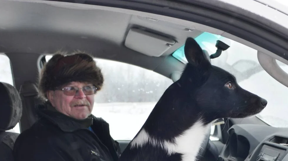 INGEN VARG I SIKTE.  Renägare Kurt Taavoniku och hunden Jennie har inte sett till vargen i Tornedalen, men konstaterar att 
renarna är mer splittrade än normalt.