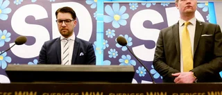 Etablissemanget älskar SD